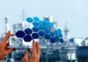 Innovadoras fractales: la paradoja de lo global y lo local
