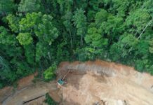 «En el largo plazo todos estamos muertos»: el debate sobre la sostenibilidad