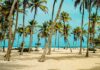 «Mi propio Morrocoy»: la democratización del lujo