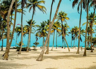 «Mi propio Morrocoy»: la democratización del lujo