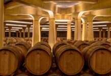 El modelo campo-producto-mercado: una estrategia de coherencia y propósito en marcas de consumo