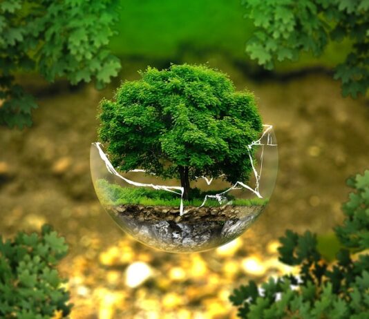 Sostenibilidad simulada