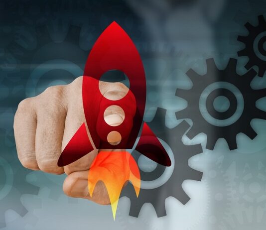 De tortuga a gacela: una taxonomía de las empresas innovadoras venezolanas